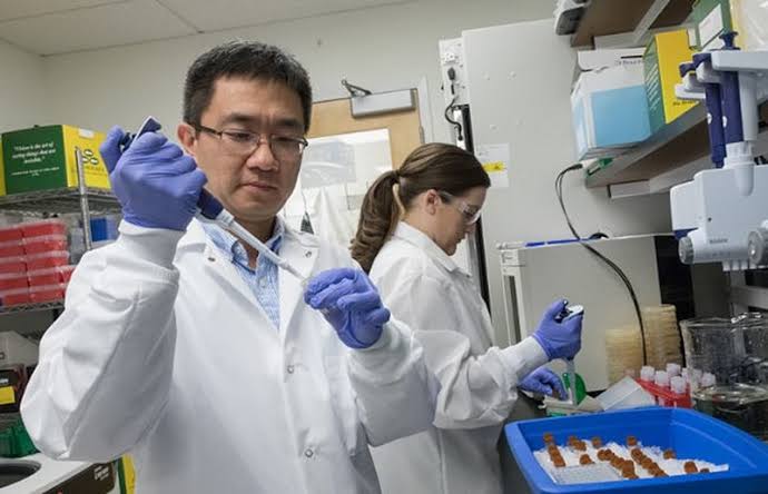 LA CINA HA LE CHIAVI DELLA FARMACIA OCCIDENTALE