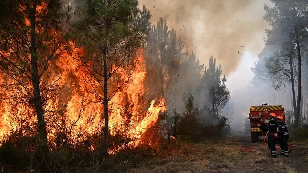 Gli incendi “verdi”